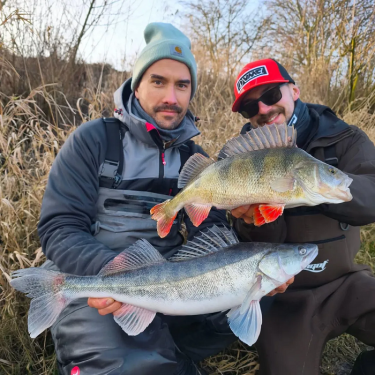 Воблер Rapala Tail Dancer Deep TDD07/BFL
