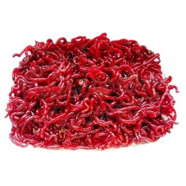 Мотыль Челябинск (1 гр.)