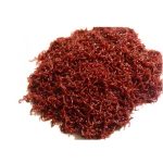 Мотыль Кормовой (1 гр.)