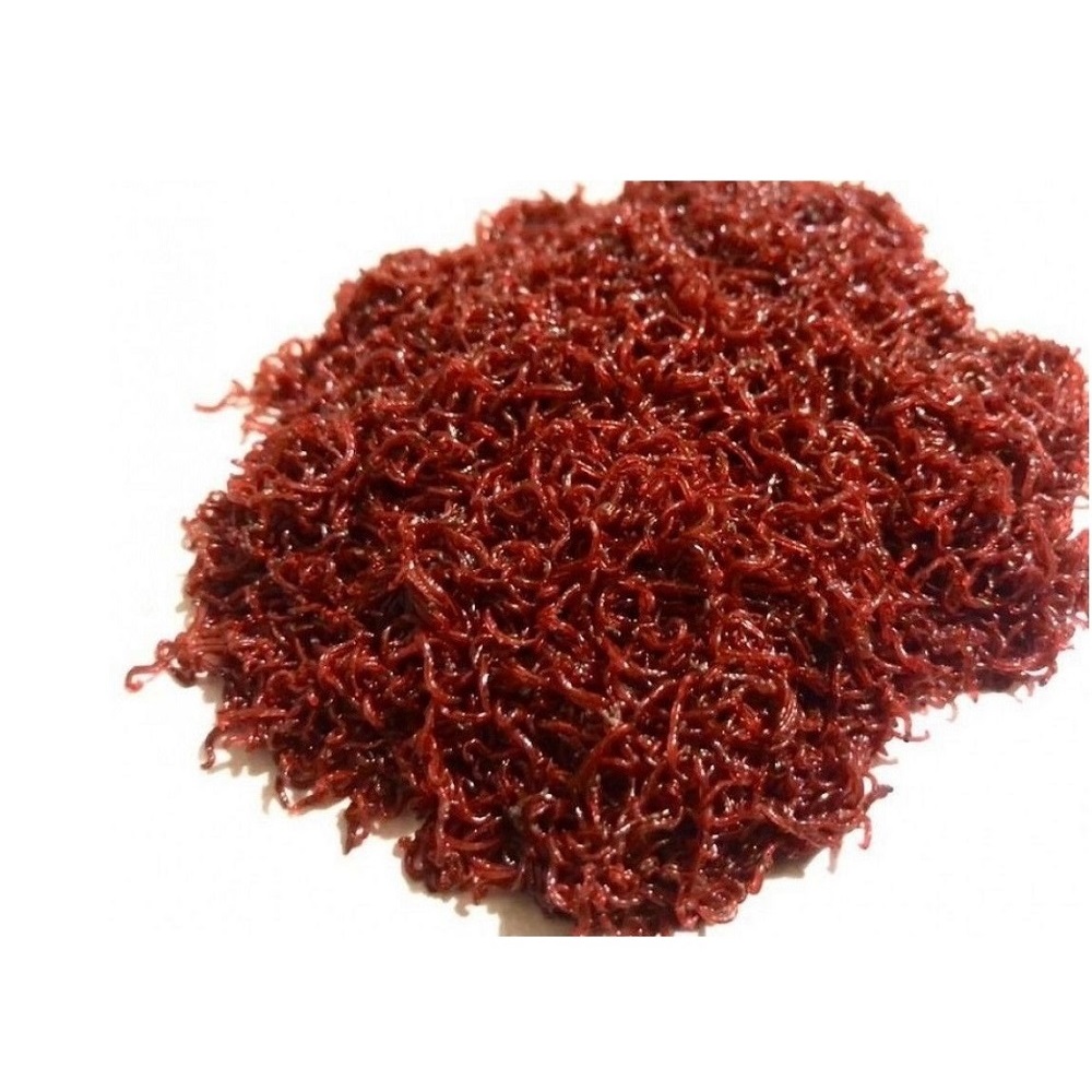 Мотыль Кормовой Мотыль Кормовой (1 гр.)