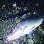 Воблер Ima Sasuke 120 Reppa #RP207