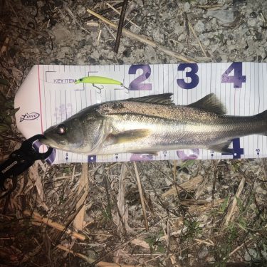 Воблер Ima Sasuke SF-95 #SKF202