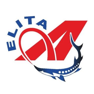 A-Elita логотип