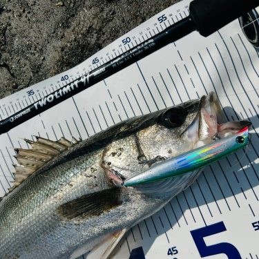 Воблер Ima Komomo SF-125 #KM125-407