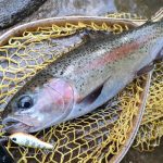 Воблер Ima Raikiri 43 #RK42FB-004