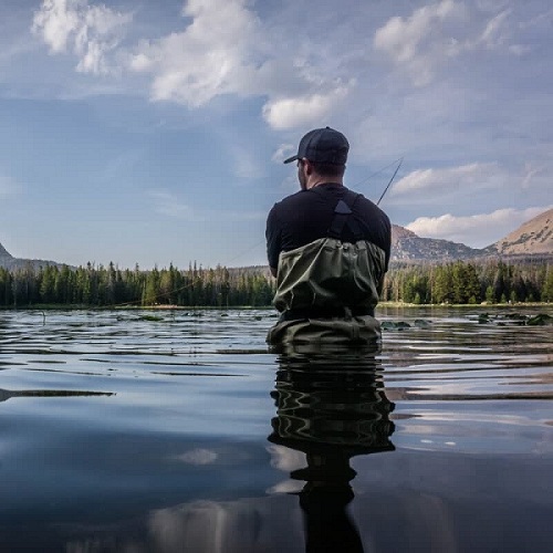 Вейдерсы FHM BROOK