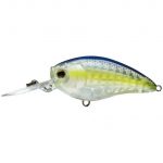 Воблер Yo-Zuri 3DR-X Crank MR 50F R1441-GSSS